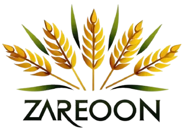 در حال بارگذاری...